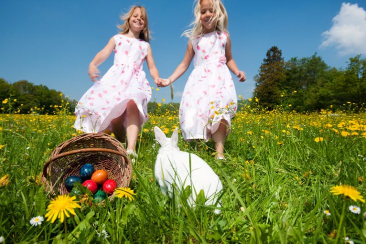 Easter bunny on a beautiful © Depositphotos