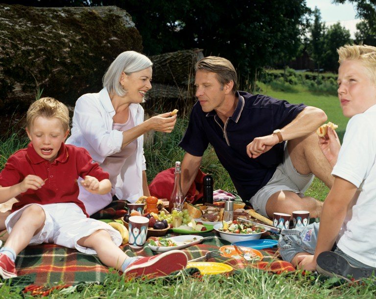 Family enjoying picnic meal. © Depositphotos