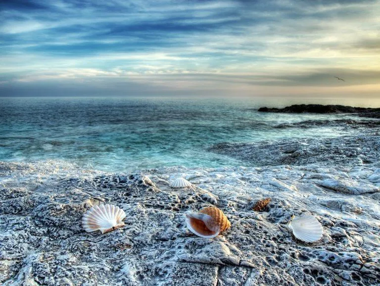 Adriatic sea | Stock Photo © Sinisa Botas