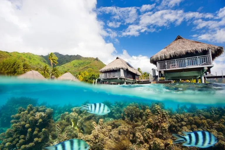 Moorea landscape | Stock Photo © shalamov