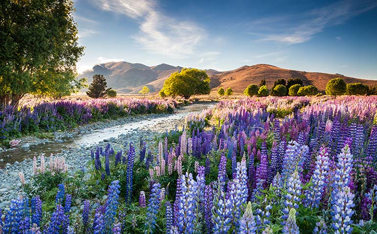 international-garden-photographer-of-the-year