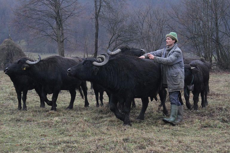 Discovering Remote Parts of Ukraine with Project Ukraїner