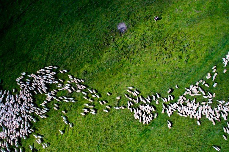 drone-photography-contest-2nd-place-nature-and-wildlife-category