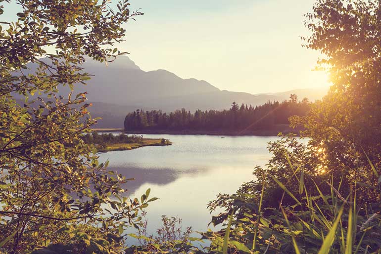 catching the golden light landscape photography