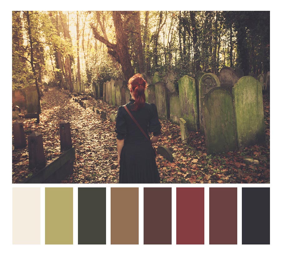 photography color palette