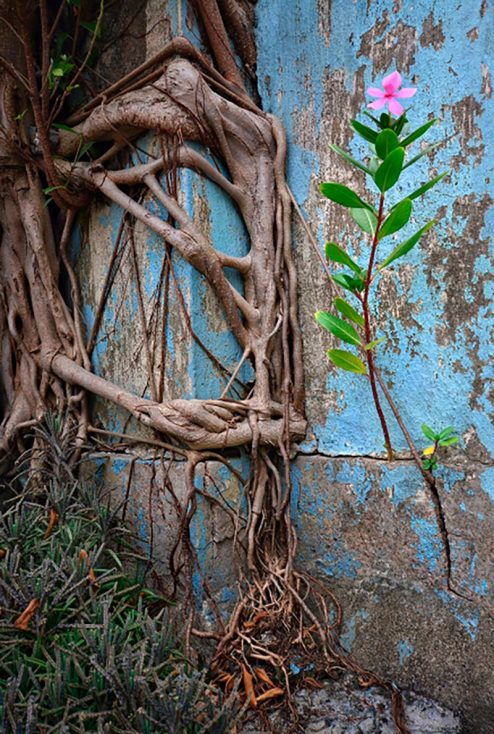 photography of hong kong