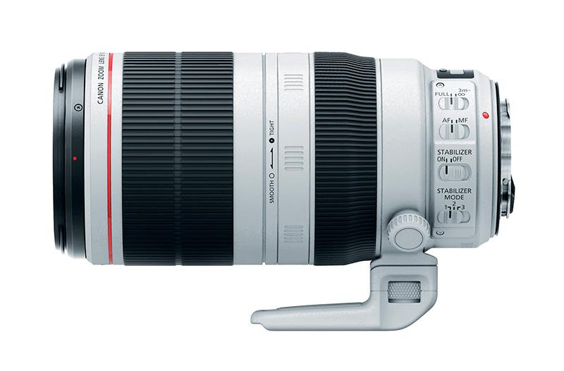 Canon-100-400mm-type-II-wildlife-photography-gear-essentials