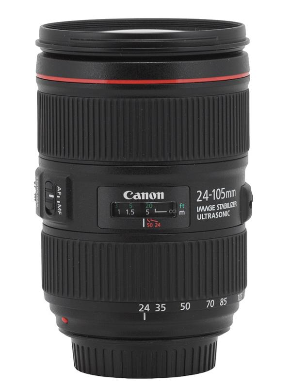 Canon-24-105mm-wildlife-photography-gear-essentials