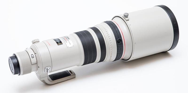 Canon-500mm-f4-wildlife-photography-essentials