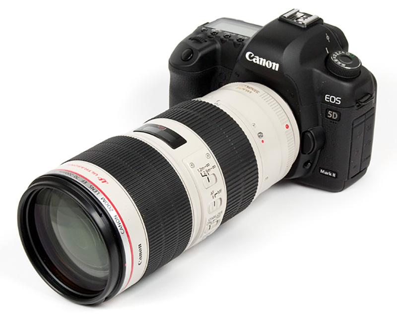 Canon-70-200mm-type-II-wildlife-photography-gear-essentials