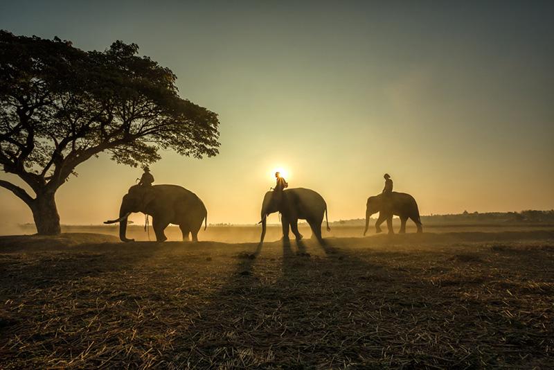 top photographs golden hour