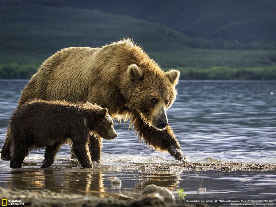 week-1-national-geographic-nature-photographer-of-the-year-2017-4