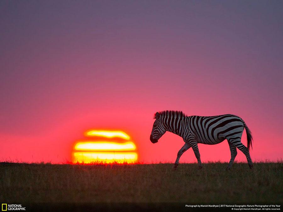 week-3-national-geographic-nature-photographer-of-the-year-2017-2