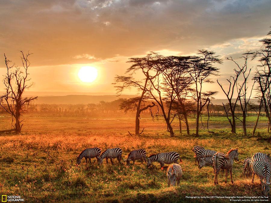 week-6-national-geographic-nature-photographer-of-the-year-2017-5