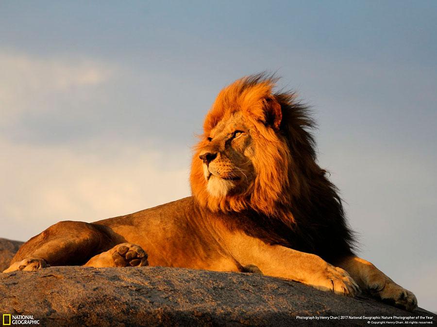 week-7-national-geographic-nature-photographer-of-the-year-2017-4