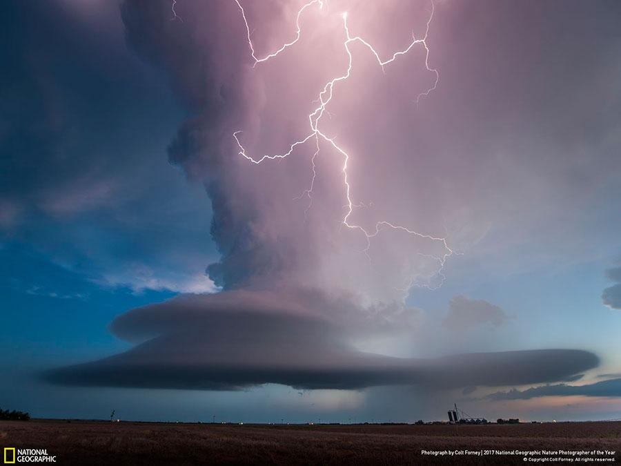 week-7-national-geographic-nature-photographer-of-the-year-2017-5