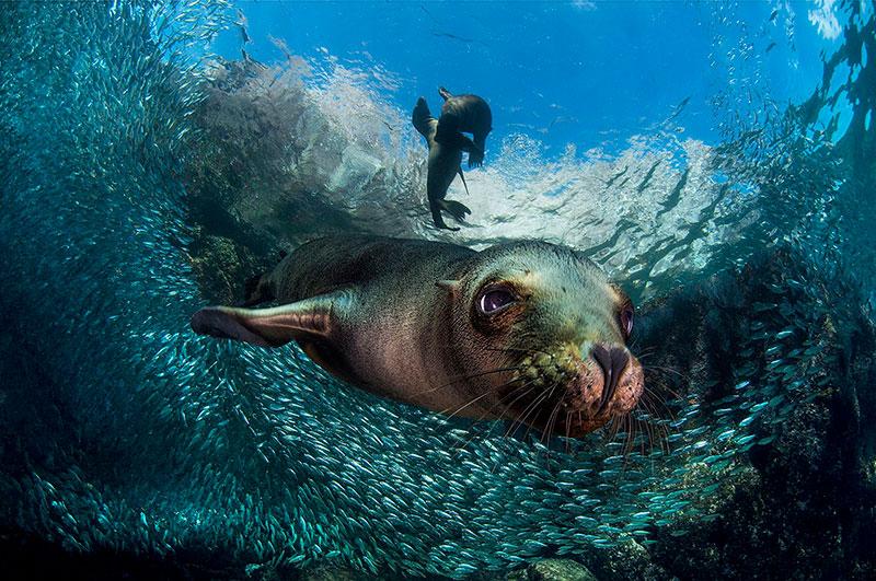 Siena-International-Photo-Award-winners-5