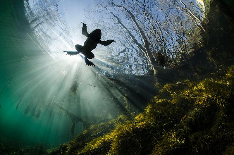 Siena-International-Photo-Award-winners-6.2