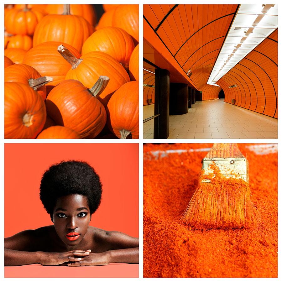 search-image-by-color-orange