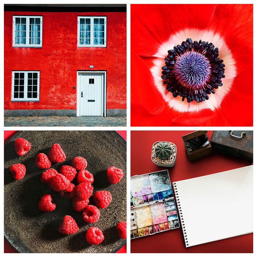 search-images-by-color-red