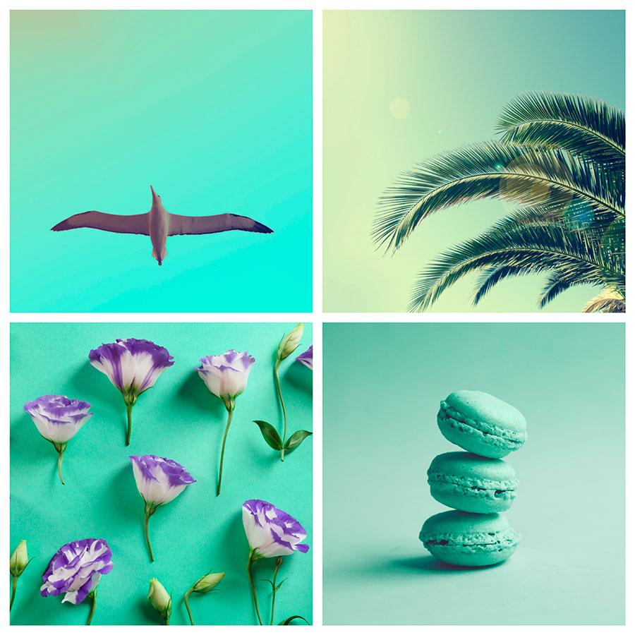 search-images-by-color-turquoise