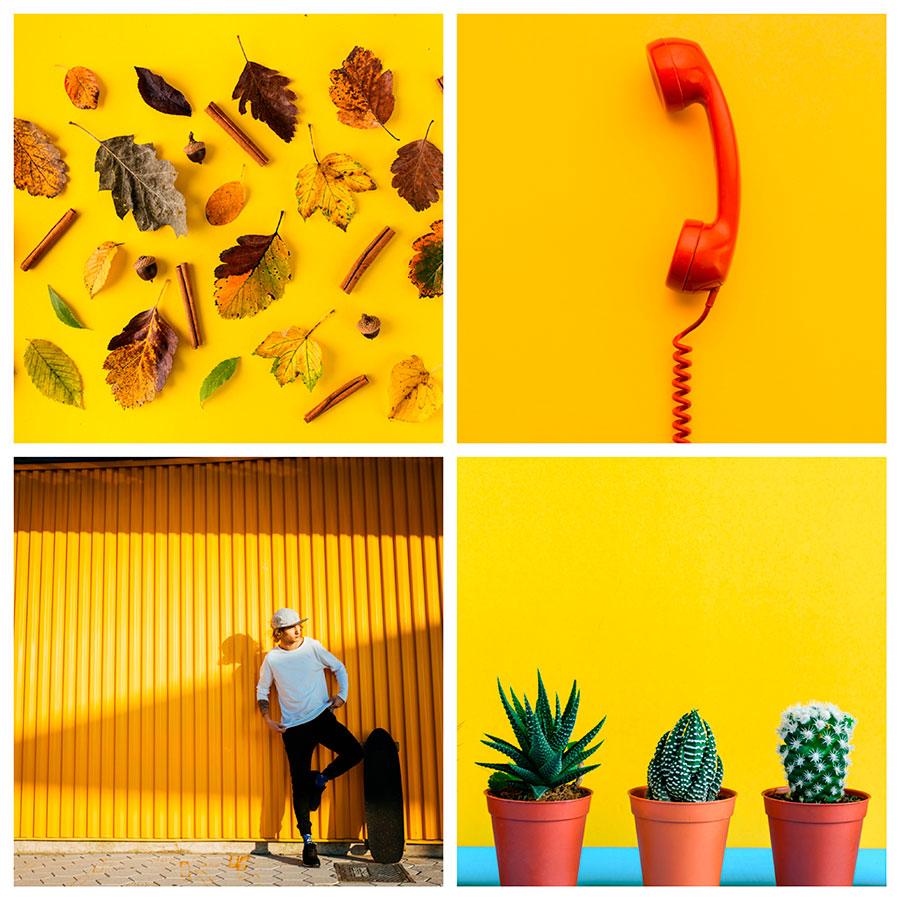 search-images-by-color-yellow