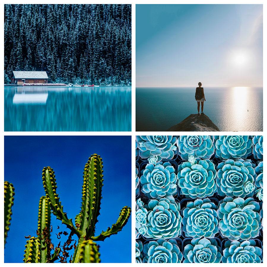 search-photos-by-color-blue