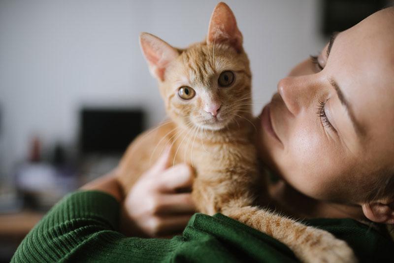 Mihajlo Ckovric stock photography cat in the arms of a woman