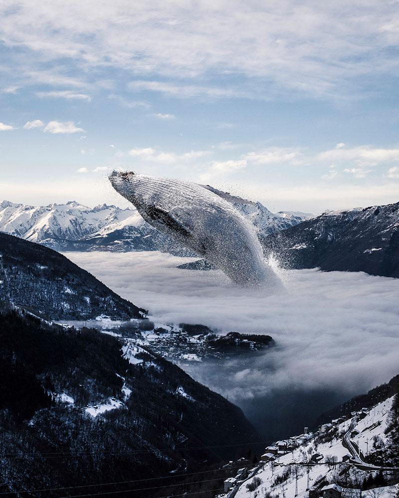 Justin Peters digital collages with stock photography - Fog-Whale 