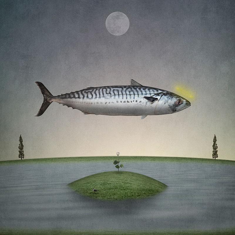 Gregory Noblin art - Holy+Mackerel