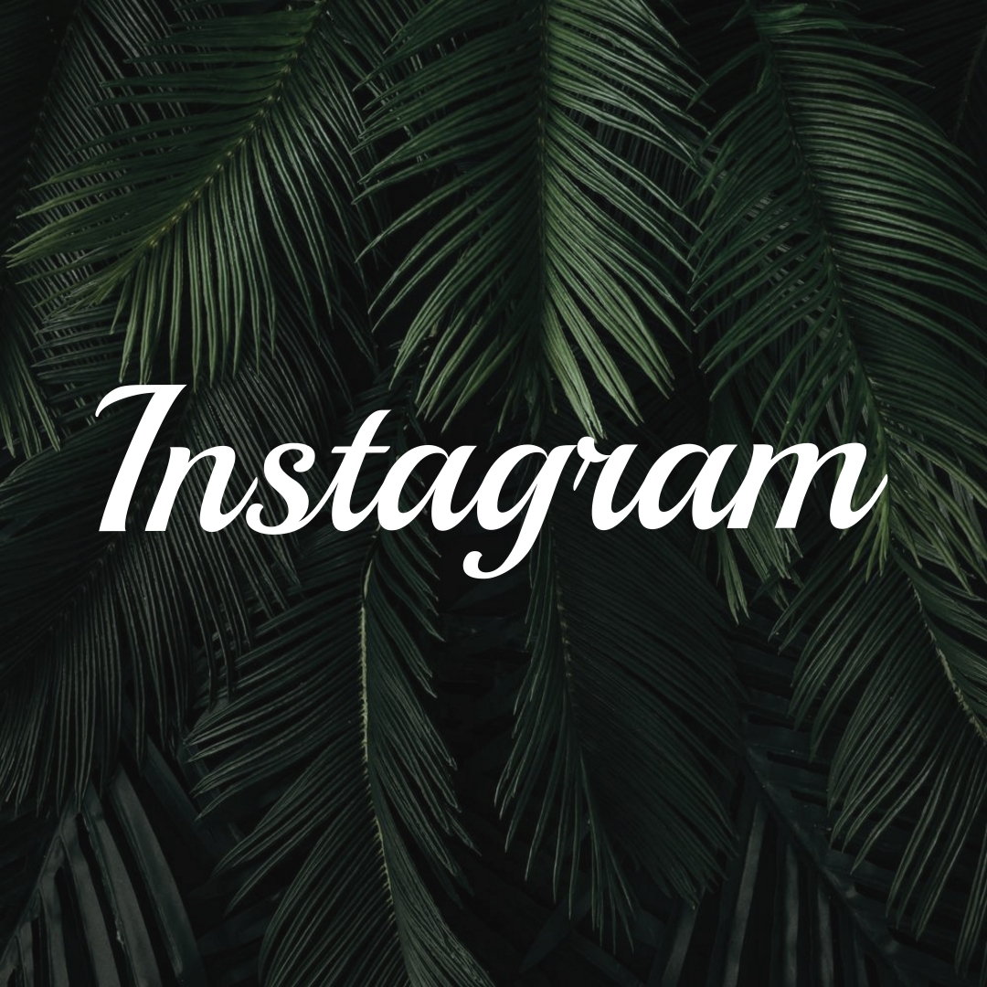 CONHEÇA A MELHOR LISTA DE RECURSOS ESCONDIDOS E TRUQUES DO INSTAGRAM QUE VOCÊ PRECISA SABER
