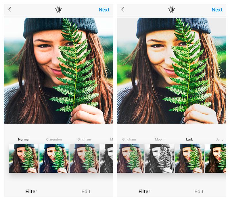 lark-instagram-filter