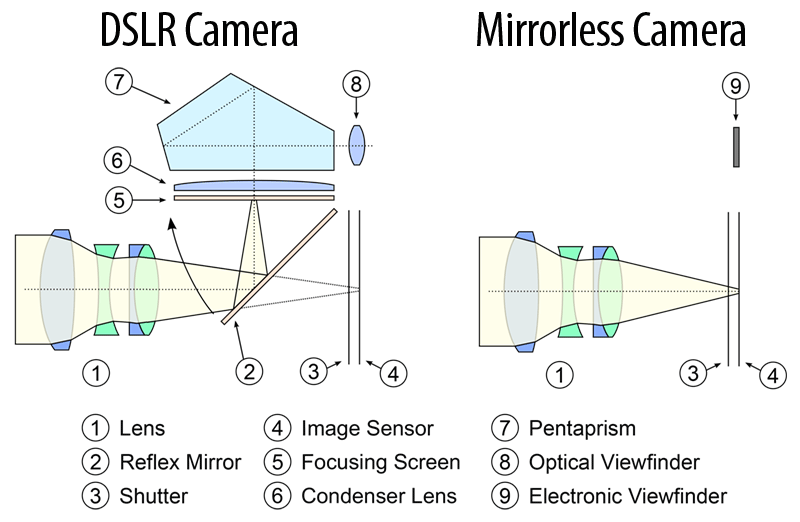 DSLR-Compared-to-Mirrorless-Camera