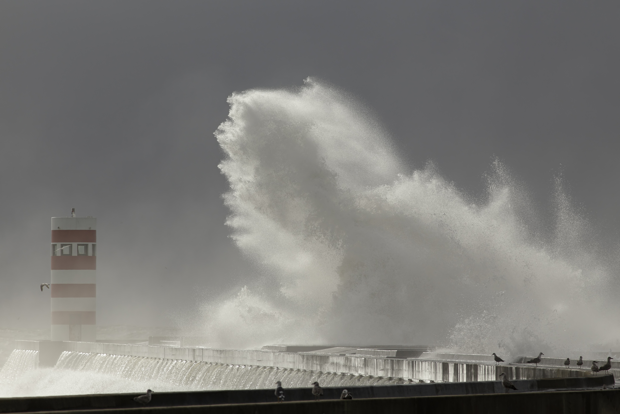 Big stormy wave splash and spray, megalophobia pictures