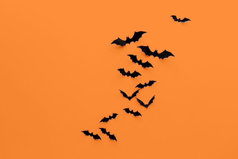 halloweeen-background-images-depositphotos-14