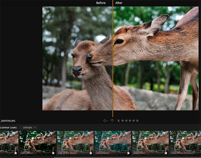 Looks-filter—Luminar-3-photo-editing-software-2