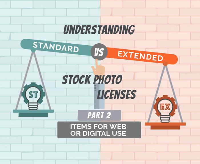 Understanding Standard vs Extended Licenses for Digital Use