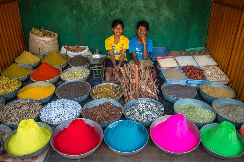 Powders for holi festival of colors 