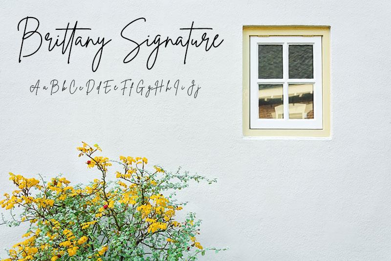 Brittany Signature minimalistic font