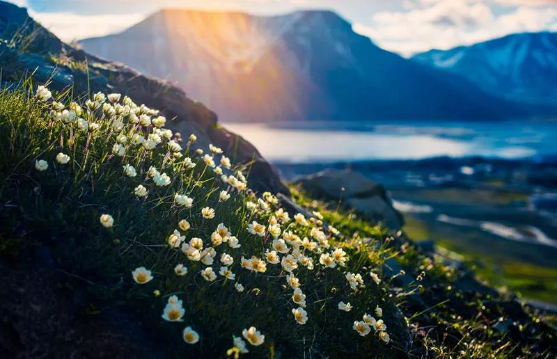 Longyearbyen, Svalbard, Norway