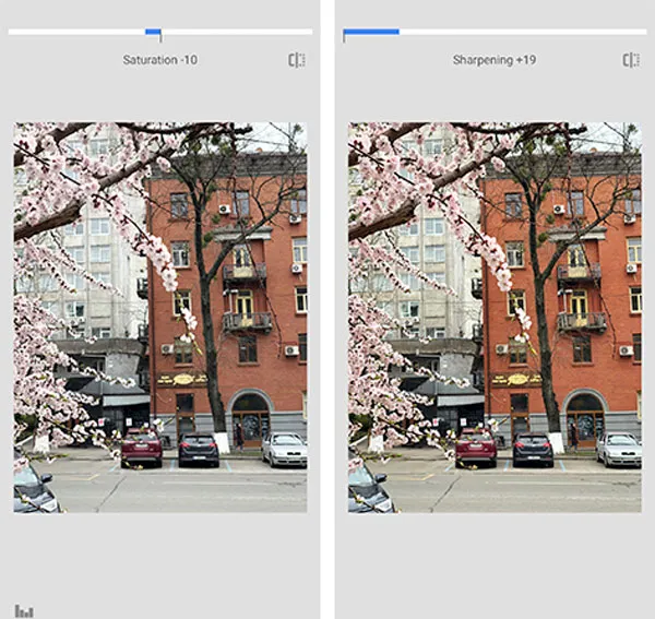 Snapseed Tutorial: Learn the Basics to Better Editing