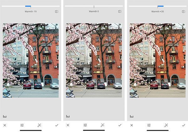 Snapseed Tutorial: Learn the Basics to Better Editing