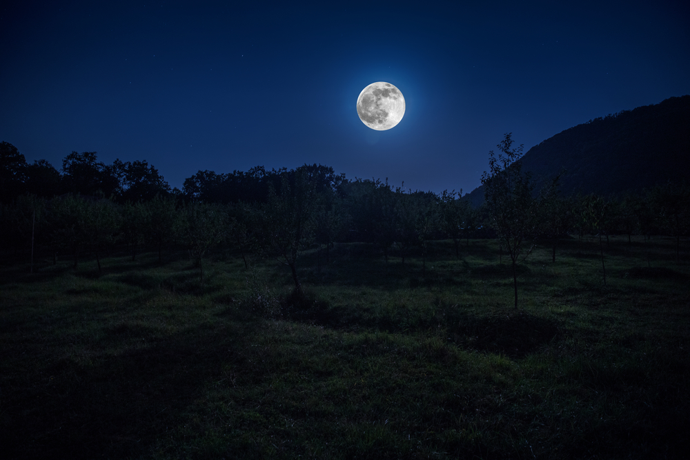 Mountain Road through the forest on a full moon night. Scenic night landscape of dark blue sky with moon. Azerbaijan