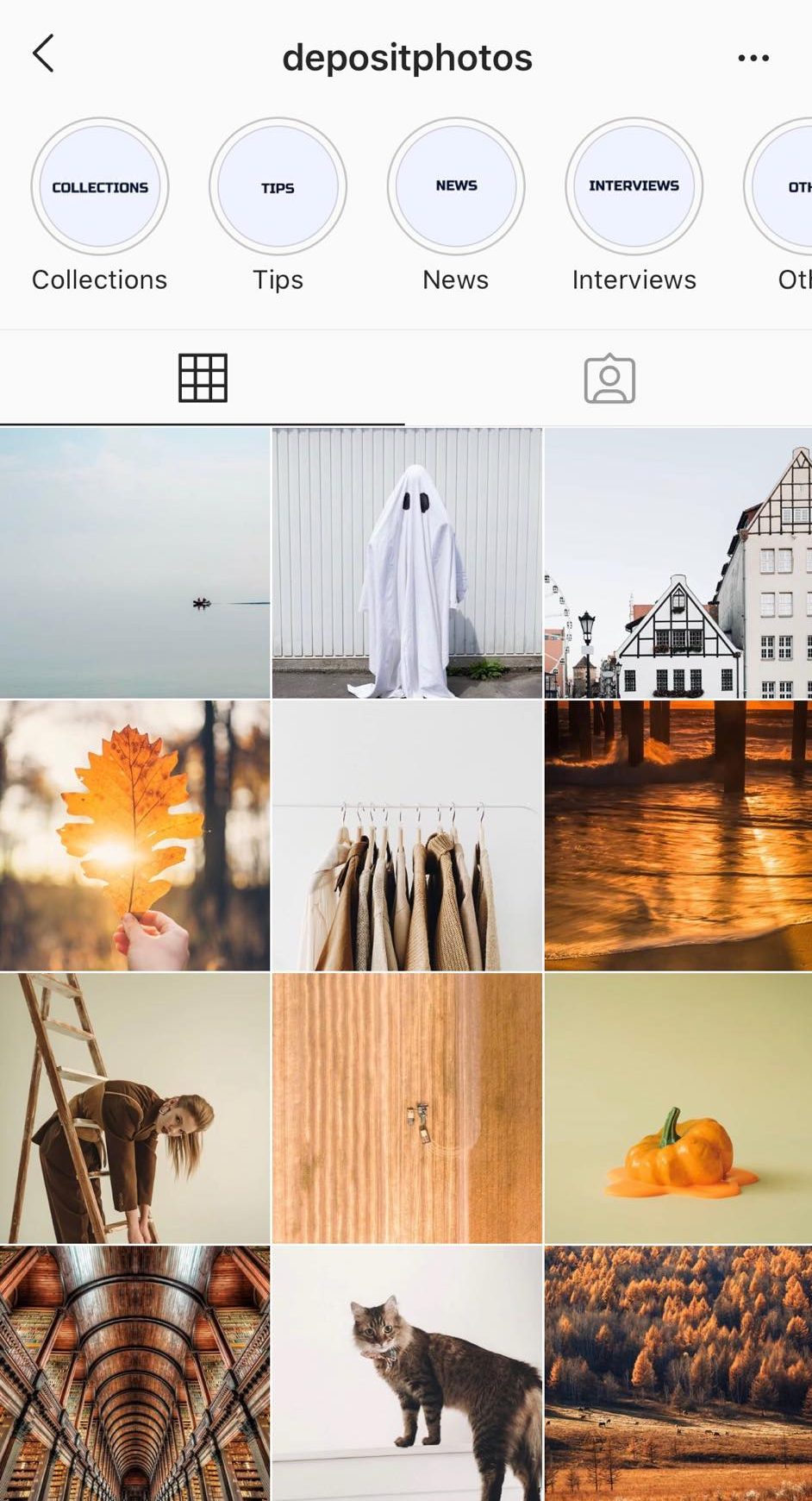 Search by Color on Depositphotos to Save Time