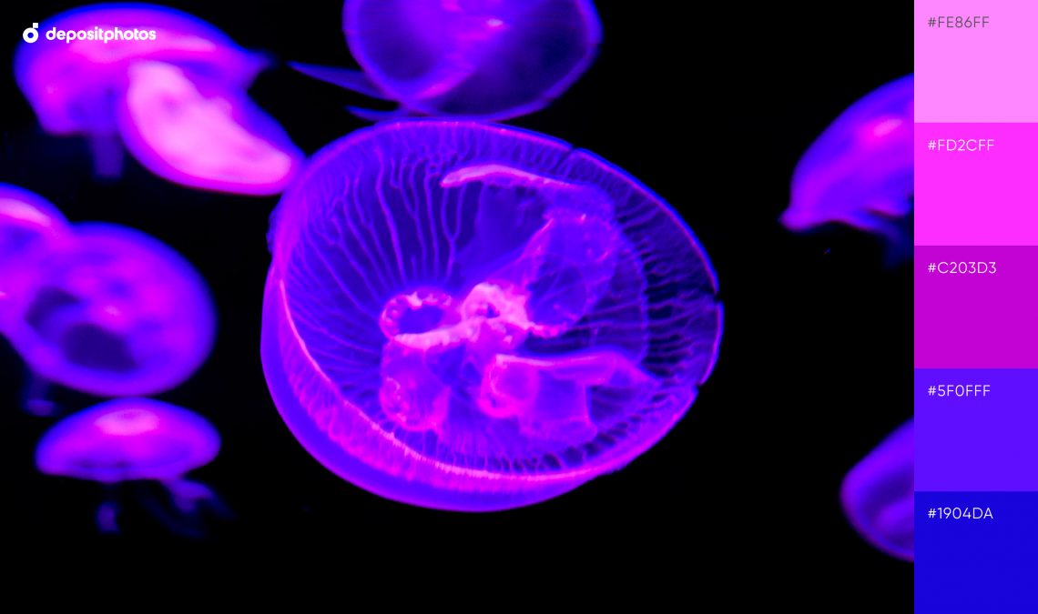 Neon color palette #14 - Purple Jelly