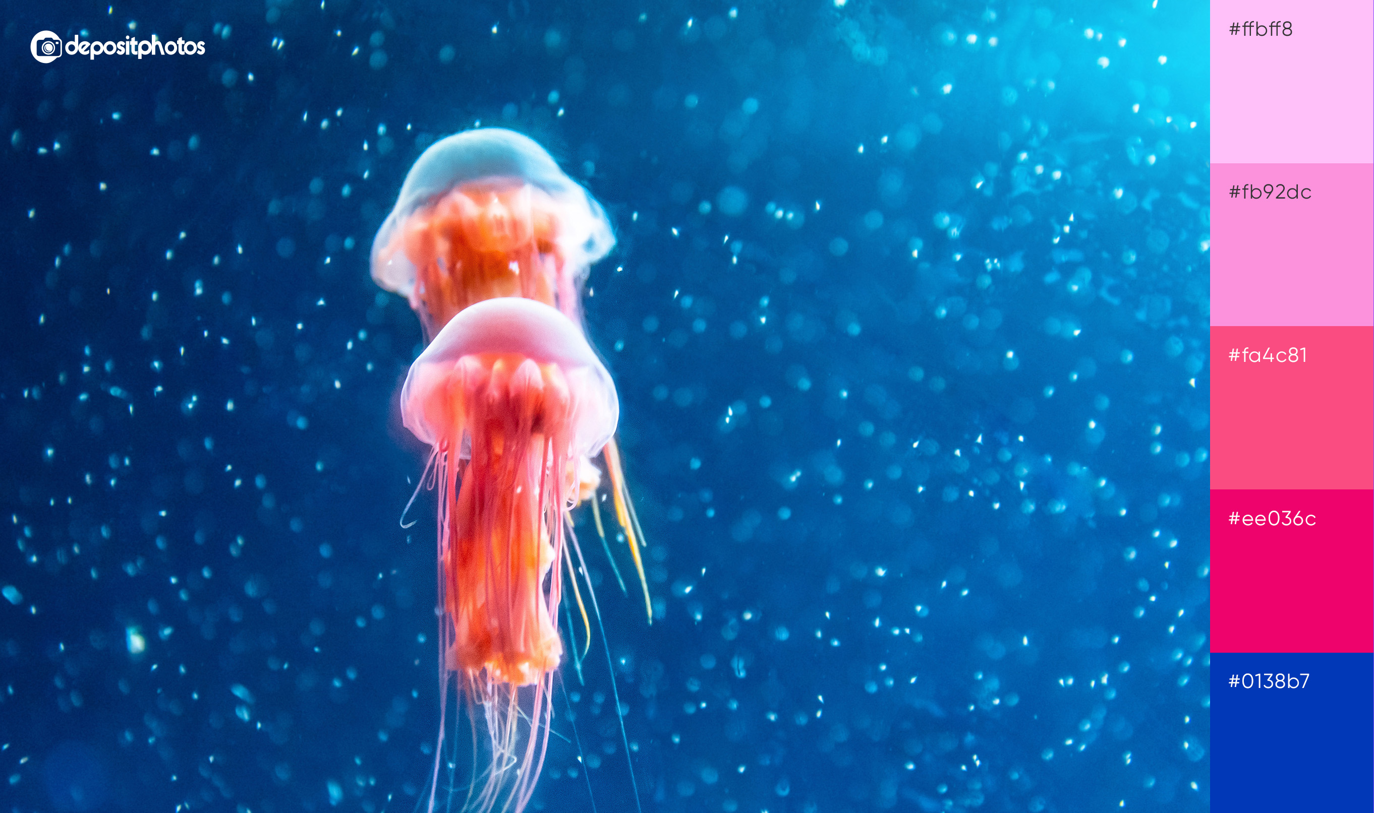 bright jellyfish