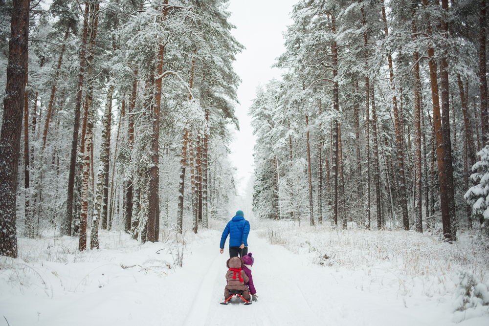 dad rolls children on a snowcat