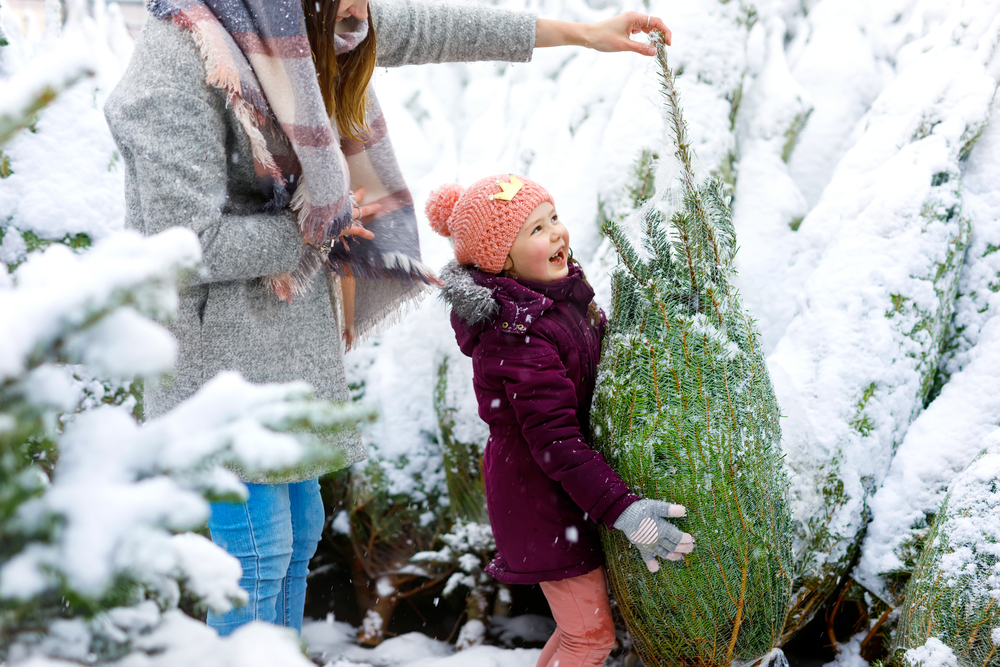 christmas tree market