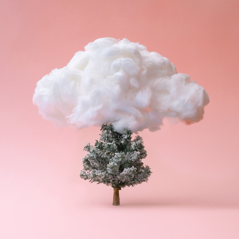 Cloud with Christmas tree