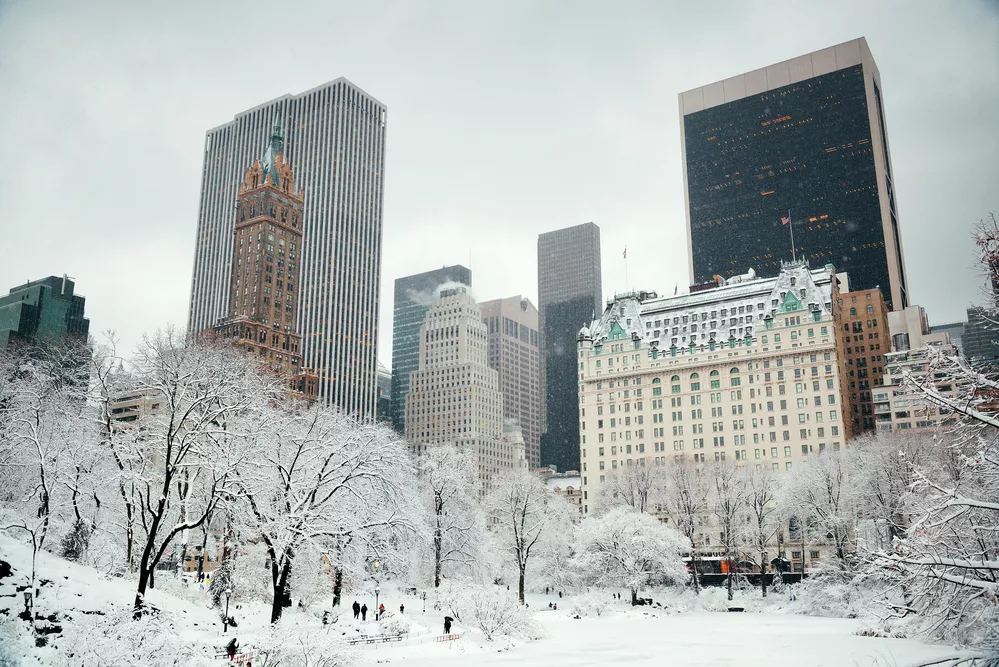 Central Park winter